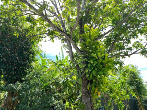 The Green Haven Villa